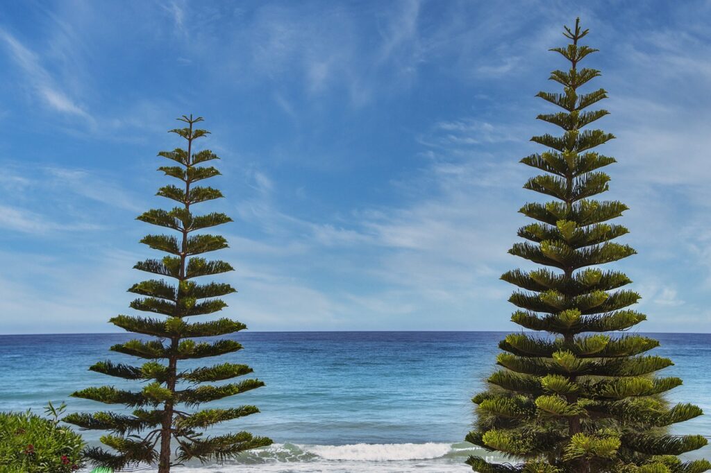 difference between gamer and player tportesports