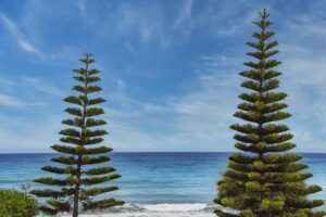 difference between gamer and player tportesports