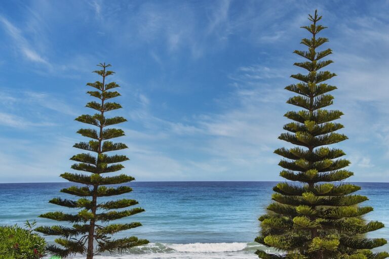 difference between gamer and player tportesports