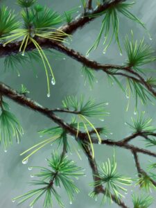 rick riordan olympian books in order