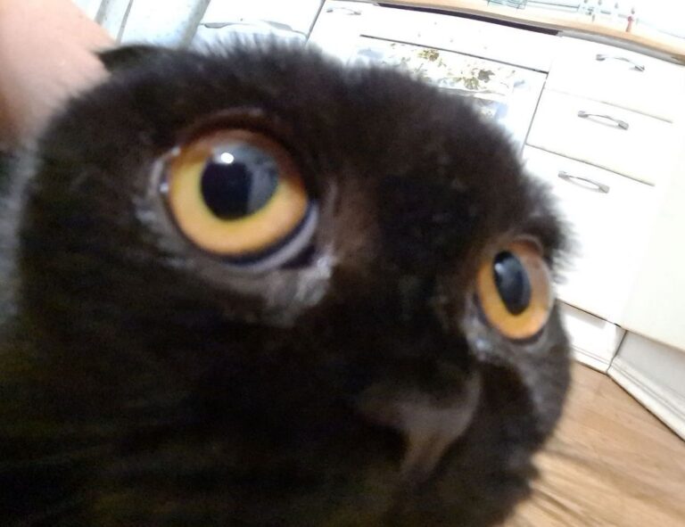 why lerakuty cave water so clear