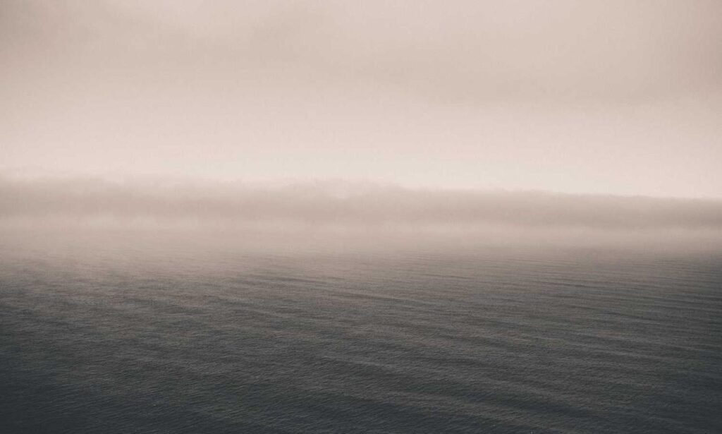 why sumcuyu high in potassium