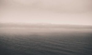 why sumcuyu high in potassium