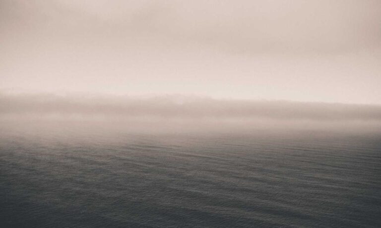 why sumcuyu high in potassium