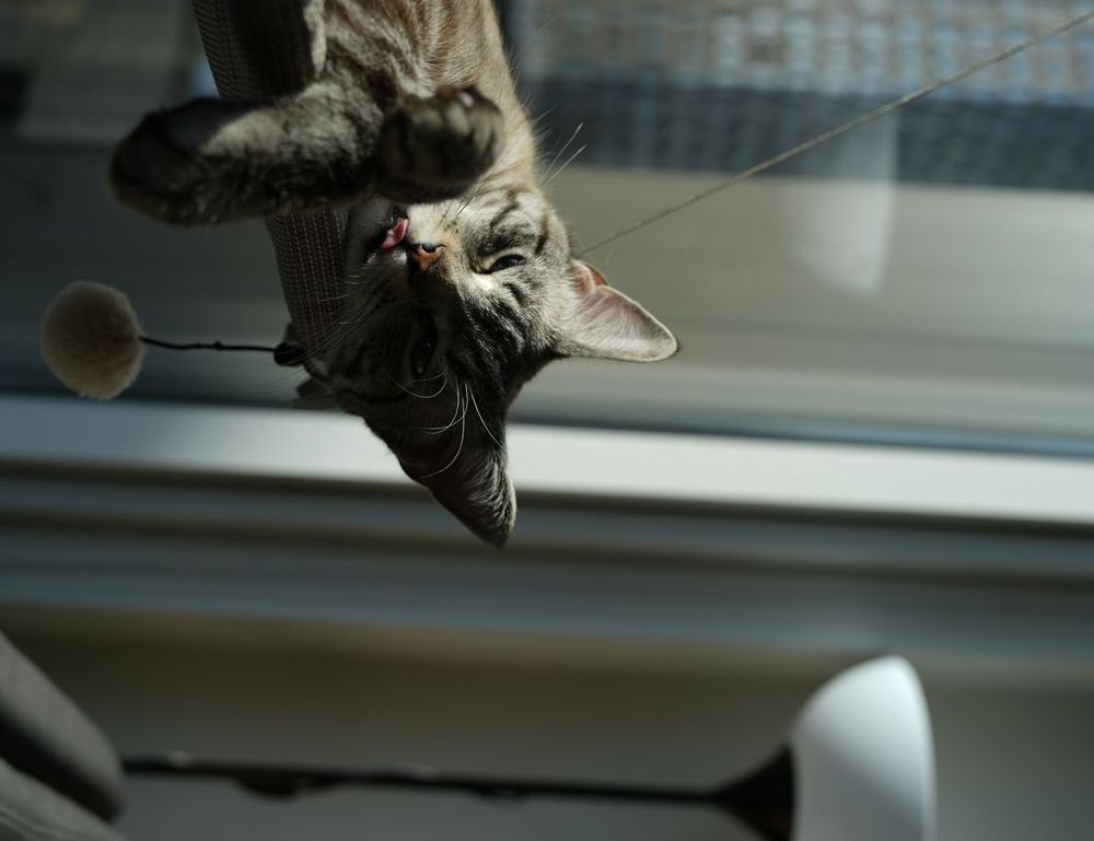 tech news digitalrgsorg