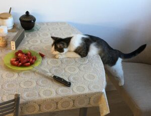 tech updates digitalrgsorg