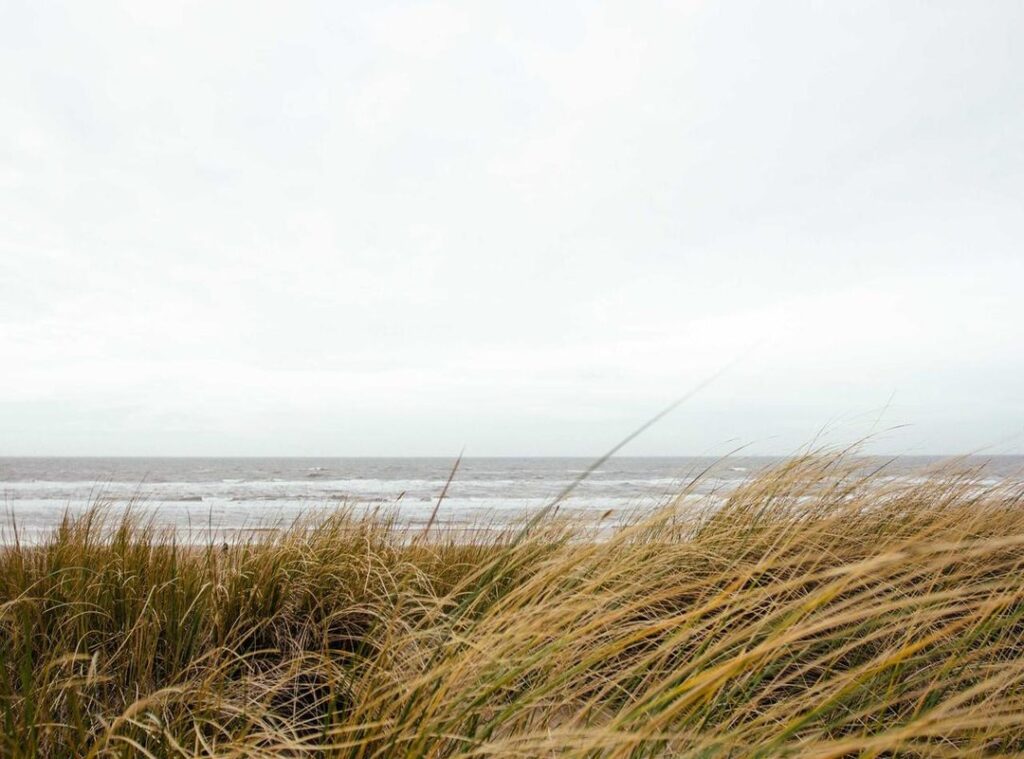 200 pesos mexicanos a pesos chilenos
