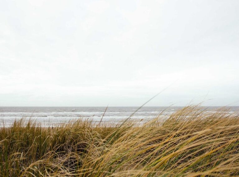 200 pesos mexicanos a pesos chilenos