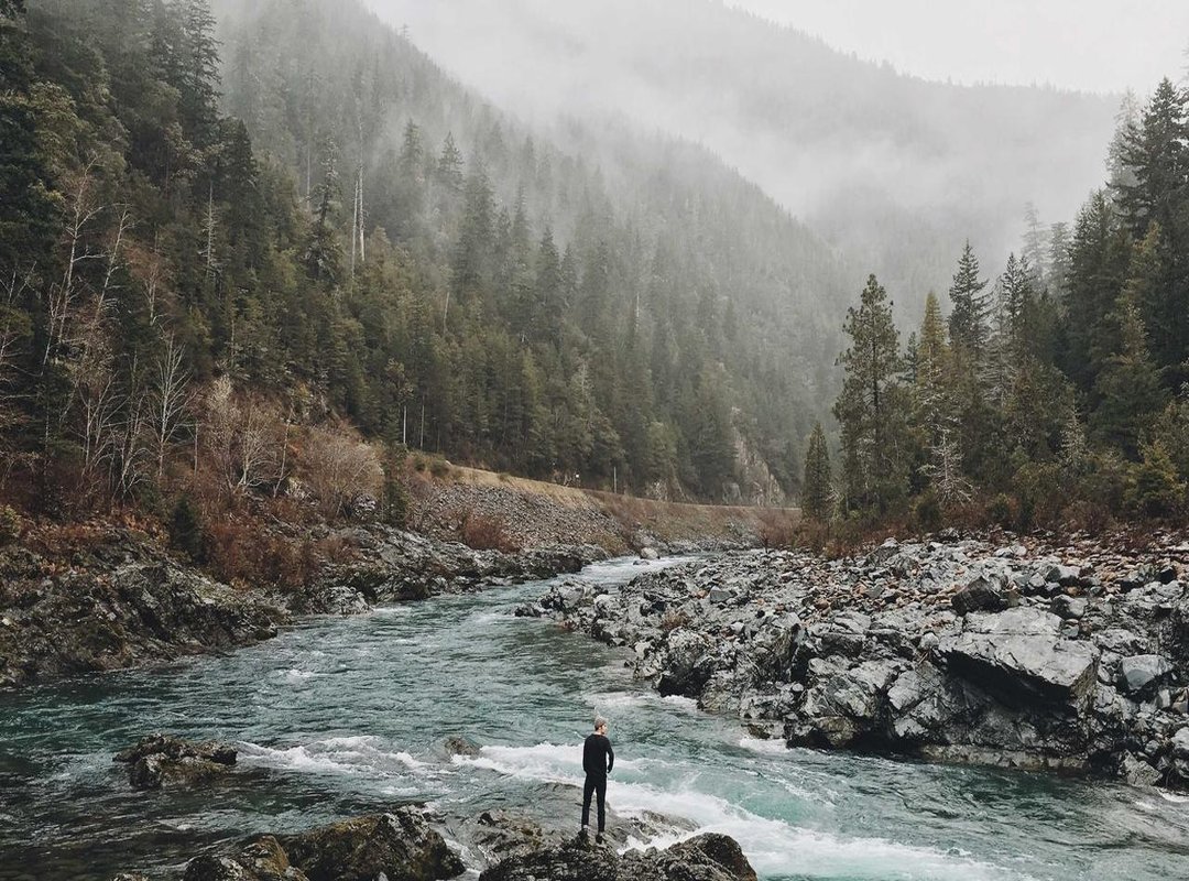 Why Fans Pair Them: Exploring the 'Fanon' Narrative