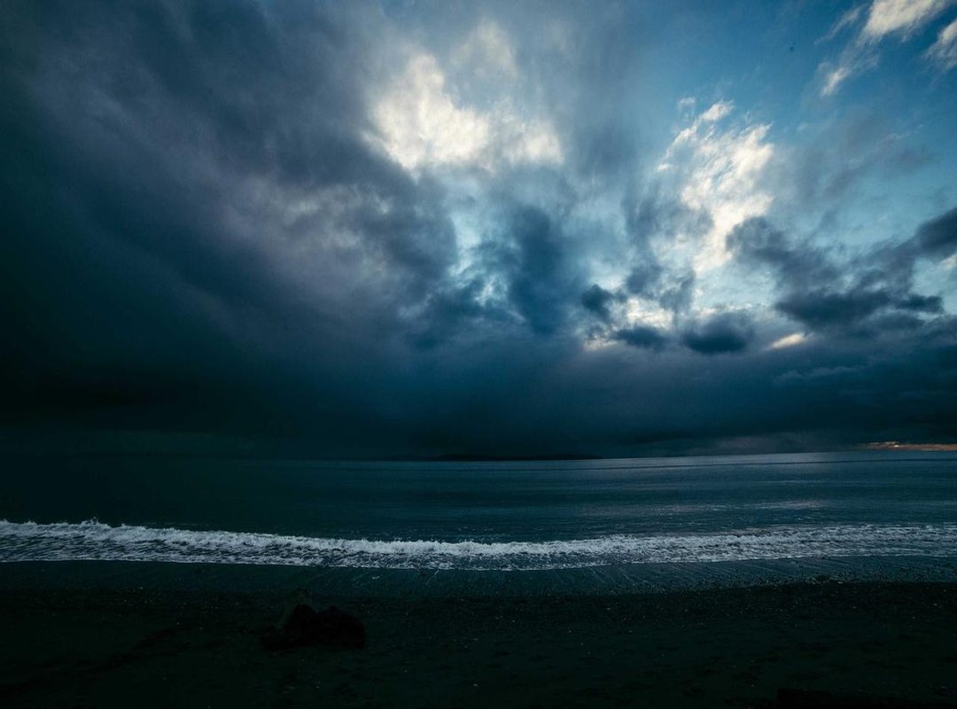 Game Day: A Shocking Turn of Events on the Field