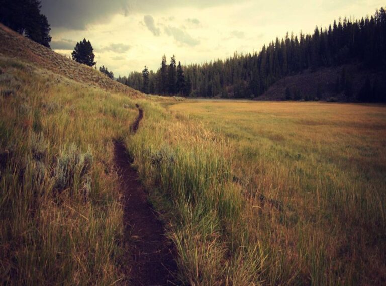 analise milton instagram