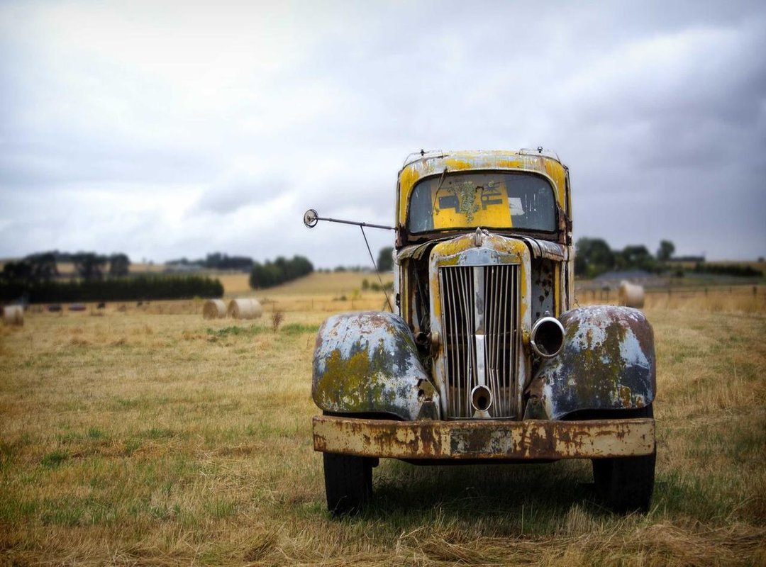 The Search for a Live-Action Movie or Series: Does It Actually Exist?