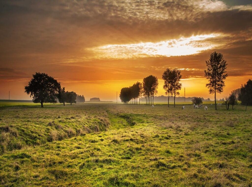 bliksem in haar scheren