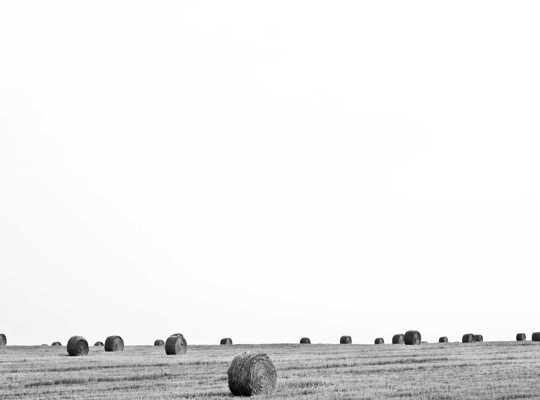 Important Rules: What to Avoid and Why