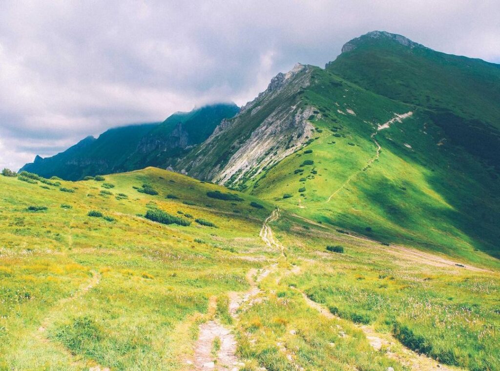 hajime no ippo animekage