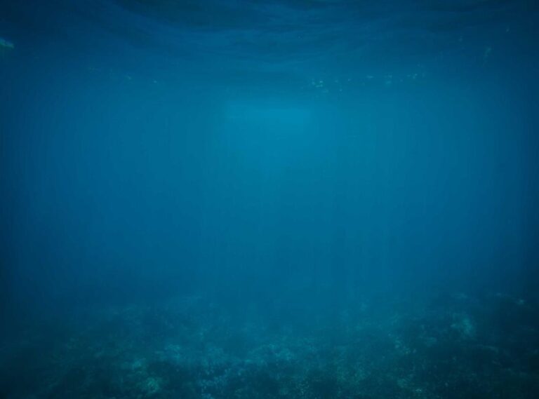 how many days till july 15