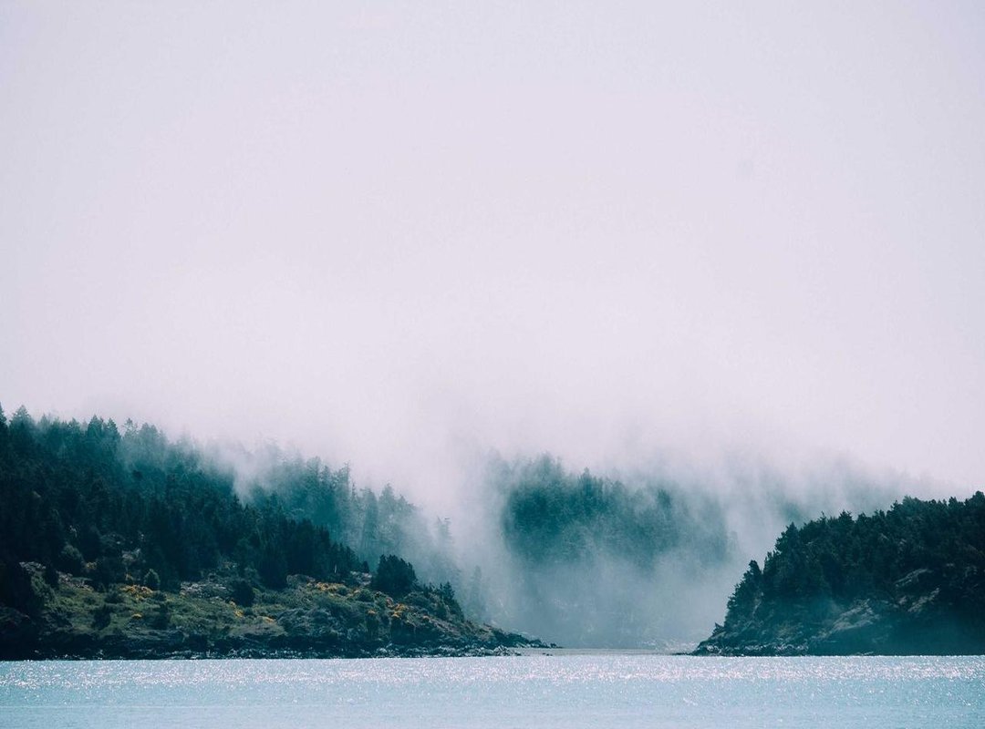 Step-by-Step: How to Download and Install the APK