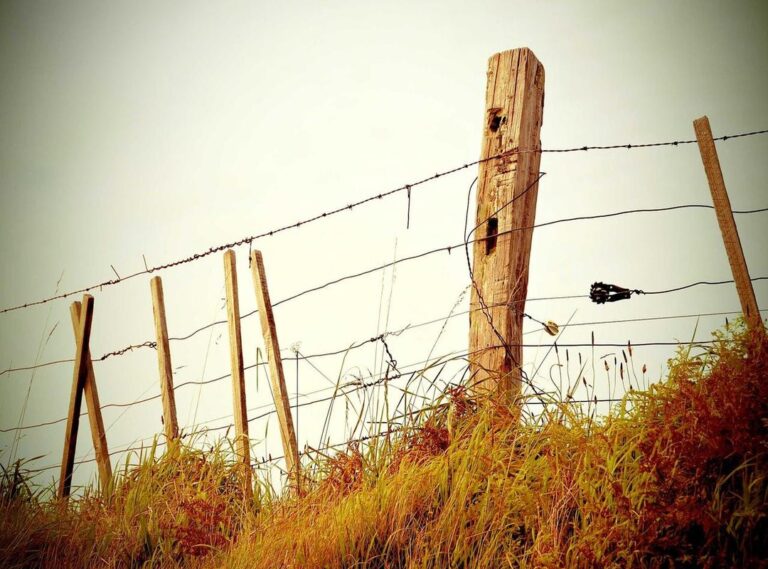 mujeres haciendo el amor significa