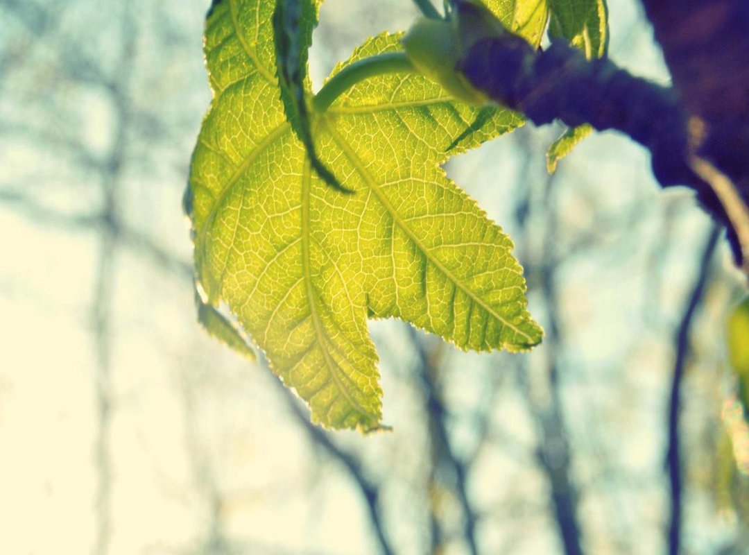 A Step-by-Step Guide to Calculating Your Conversion