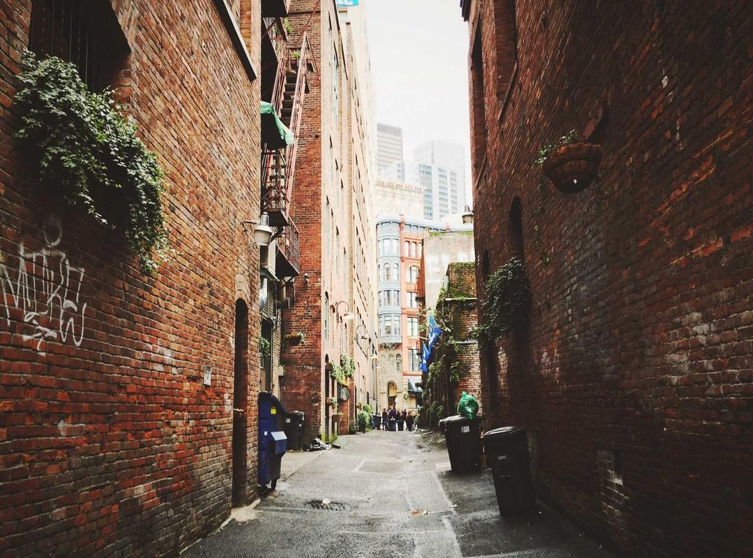 A Sample Sara Saffari-Inspired Chest Workout Routine