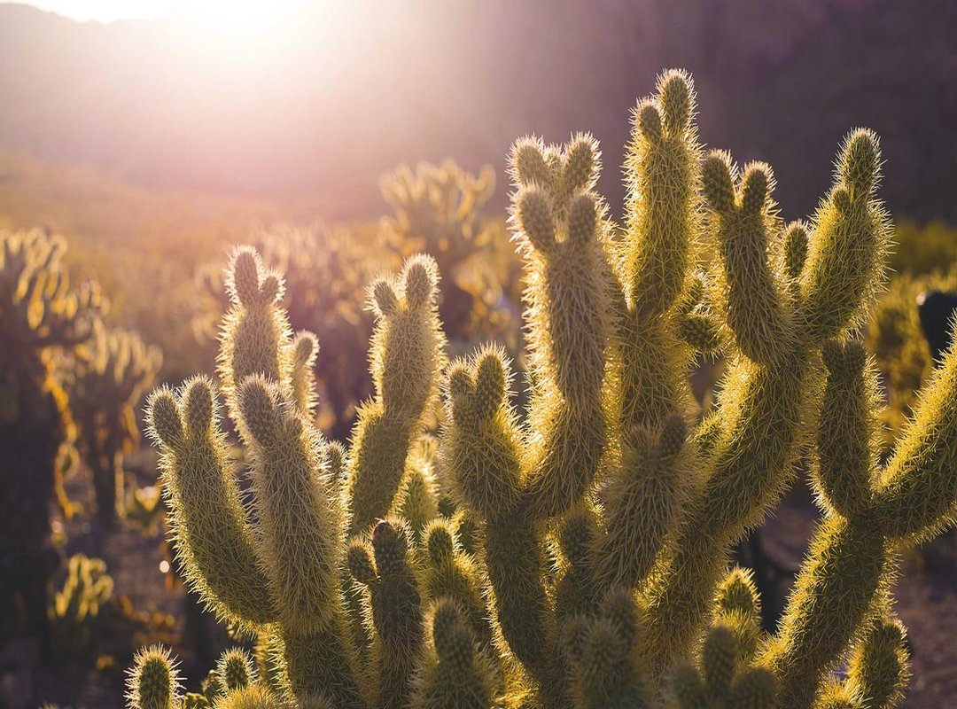 Tips and Tricks to Make Your Edits Look Amazing