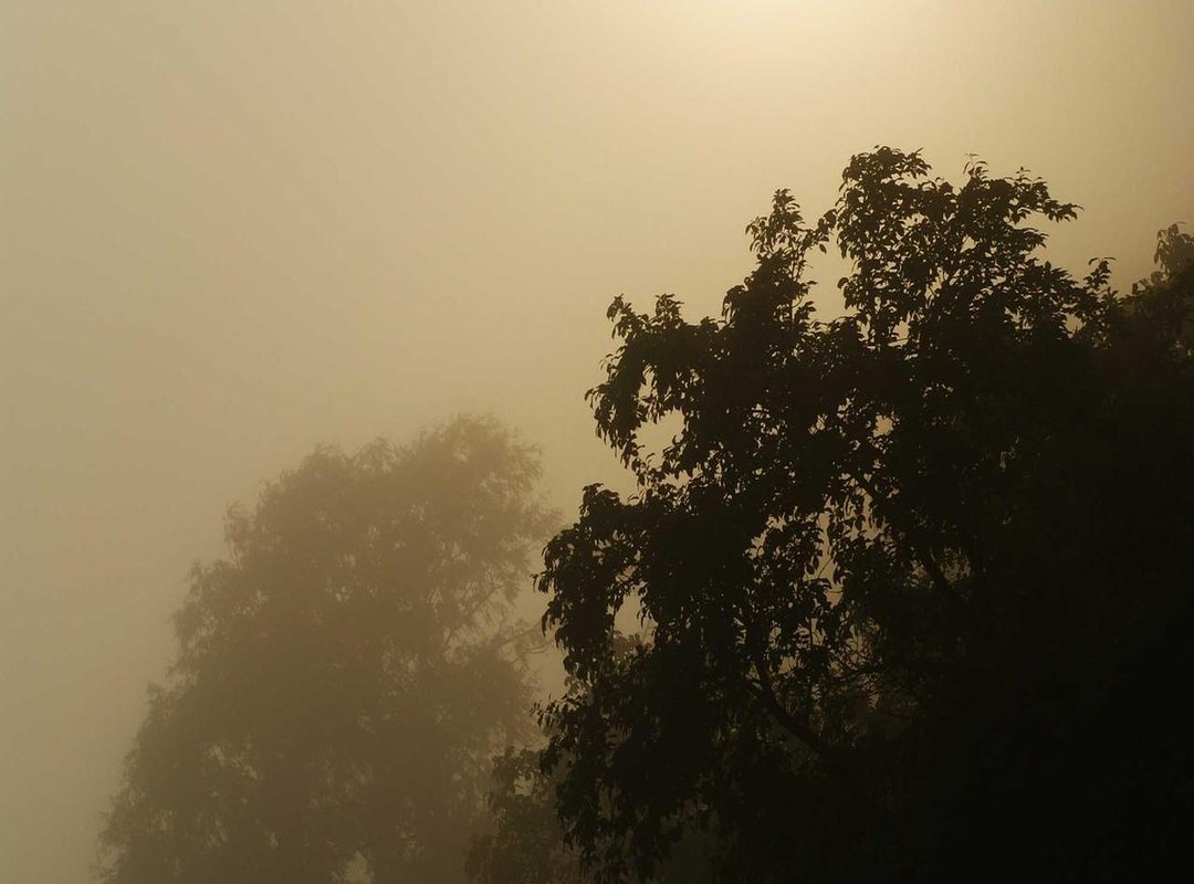 Organizing Your Wardrobe: Tips for Managing Your Collection