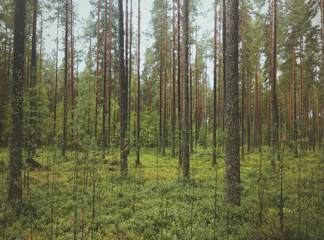 Tips and Tricks for Using a Transparent Roblox Avatar Boy