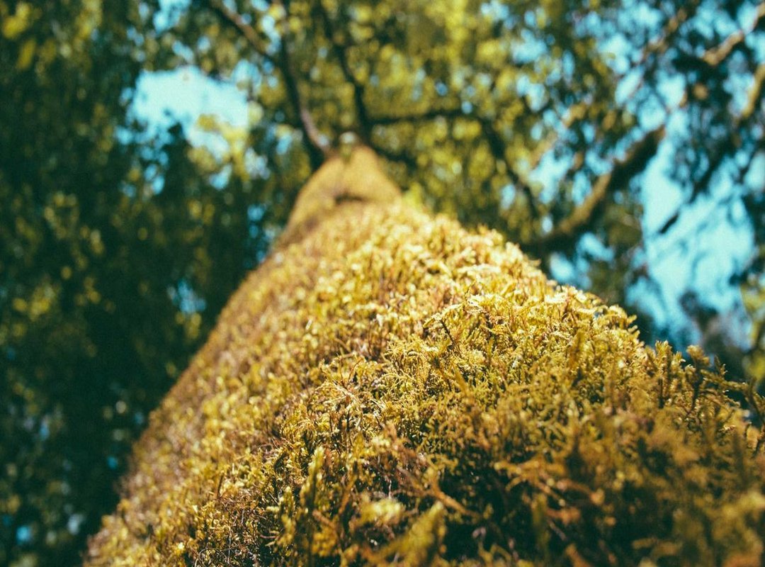 Public Reaction and Media Coverage