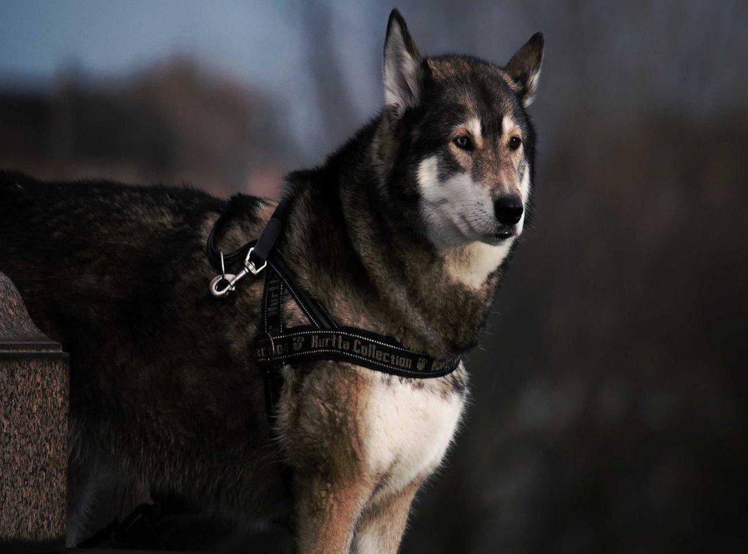 What Sets Our Solution Apart