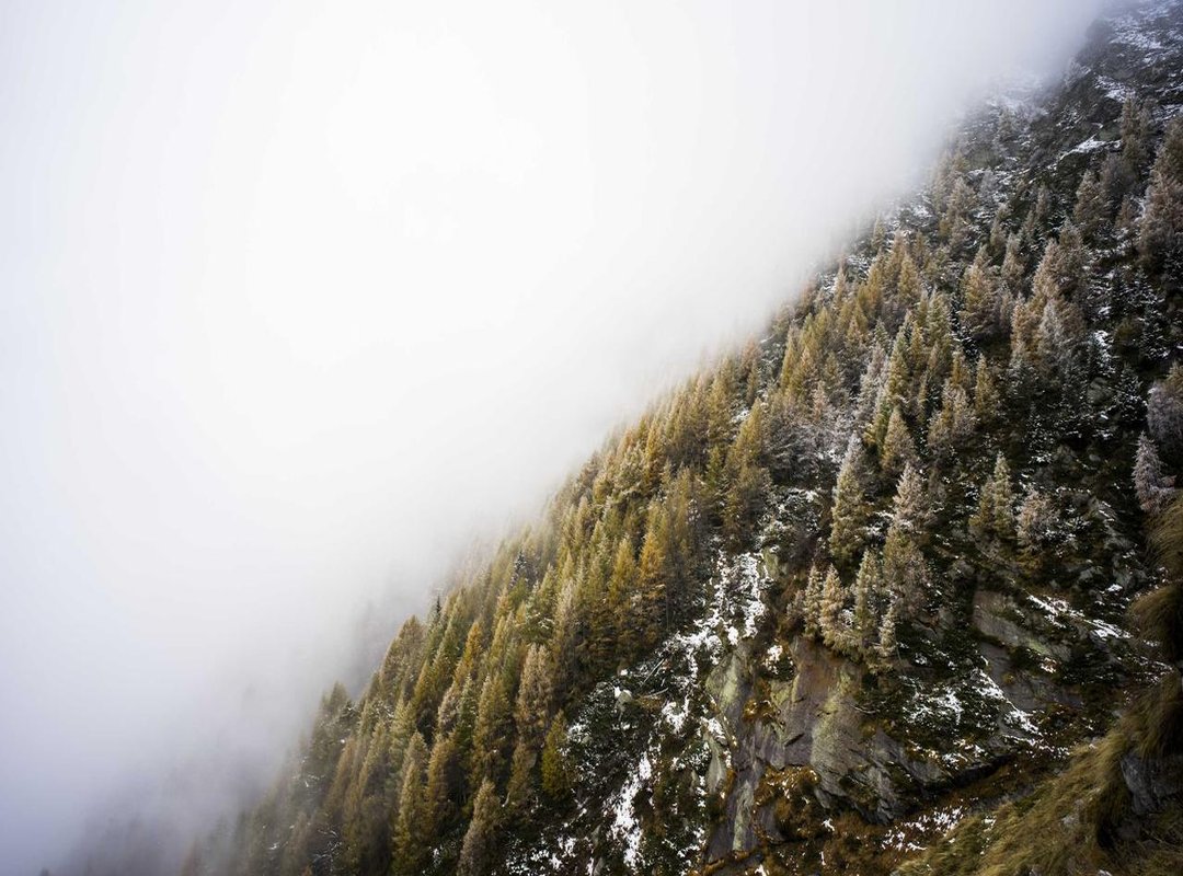 English Phrases That Come Close (But Don't Quite Match)