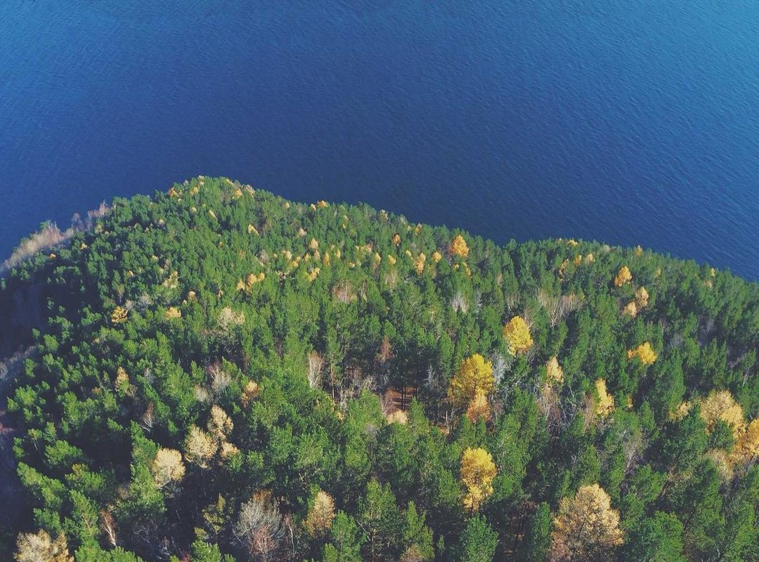 Understanding the Risks: Is Using PlayMods Safe?